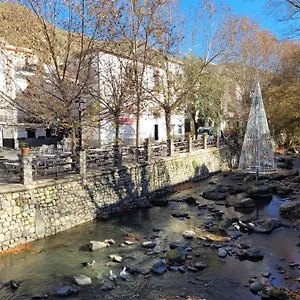 https://apartamentos-pinos-genil.es-andalucia.com